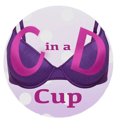 c in a d cup
