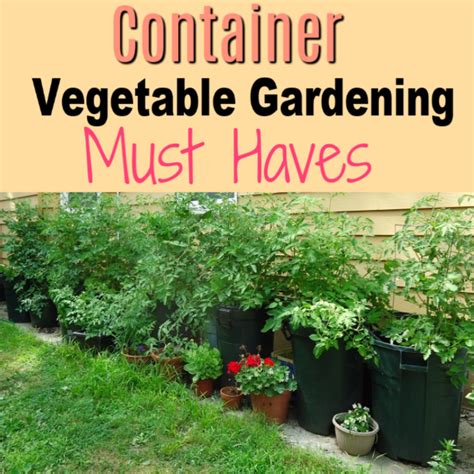 How To Start A Container Vegetable Garden Basic Tips