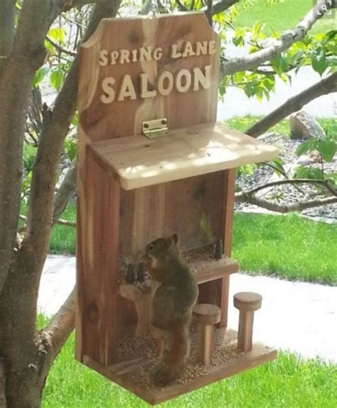 Ten Awesome And Fun Squirrel Feeders I Can Has Cheezburger Squirrel