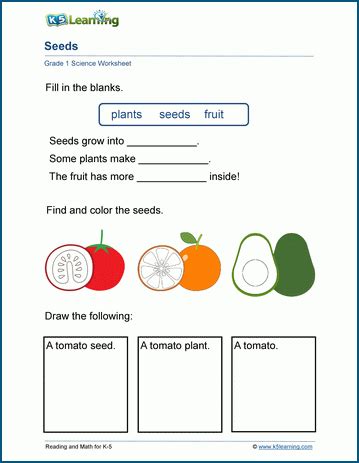 Download free science worksheets for kids to do and learn! Grade 1 Science Worksheets | K5 Learning