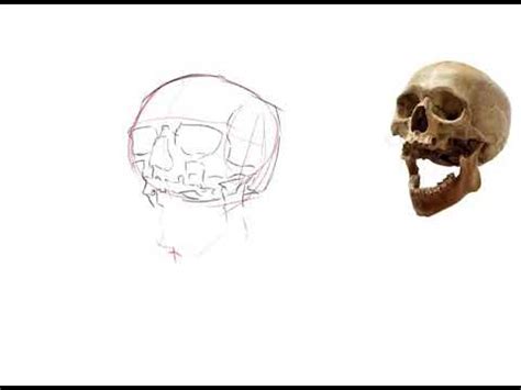 Making a custom canvas size can be a huge game changer when batching similar designs. Drawing Procreate | 28/12/19 - YouTube