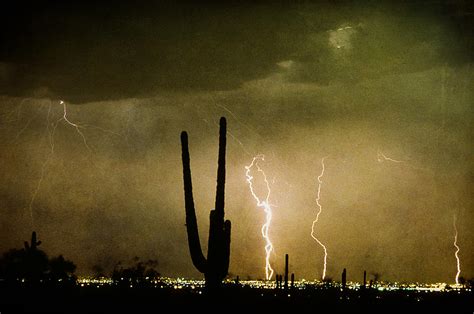 Giant Saguaro Southwest Lightning Peace Out Photograph By James Bo