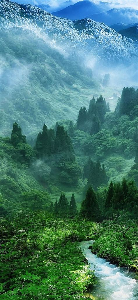 Nature Mist Mountain Wood Forest River Landscape Iphone Wallpapers Free