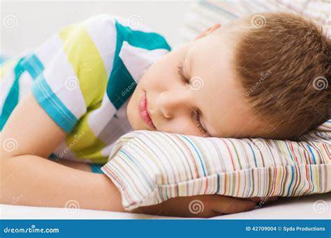 Little Boy Sleeping At Home Stock Photo Image Of Couch Healthy 42709004