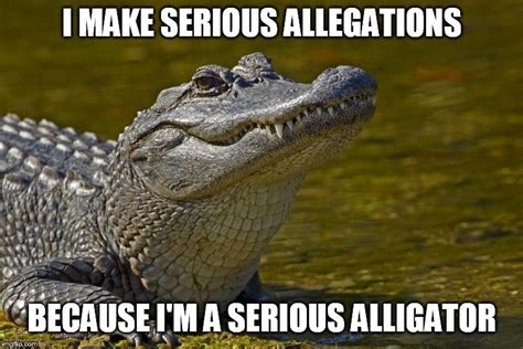 Image Tagged In Laughing Alligator Imgflip