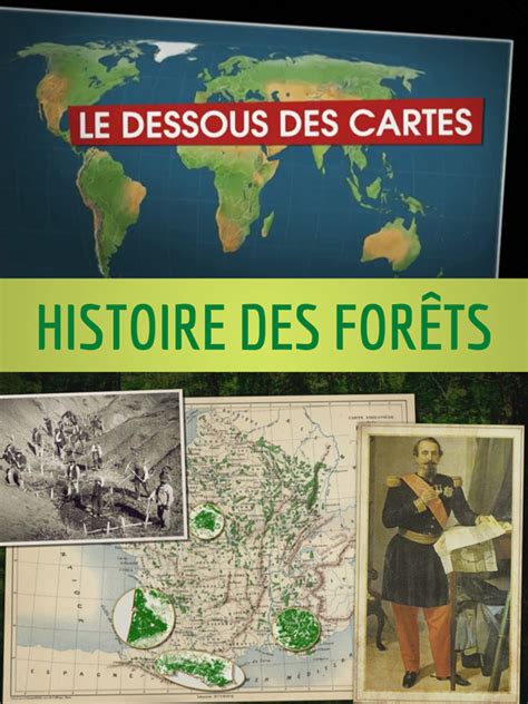 Le Dessous Des Cartes Histoire Des Forêts Mediatheque Numerique