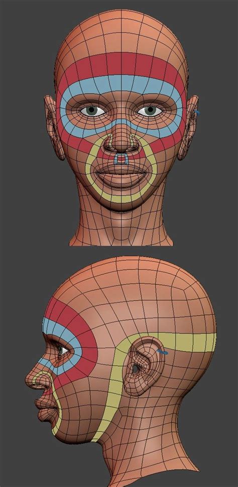 10 Face Topology Ideas Face Topology Topology Character Modeling Images