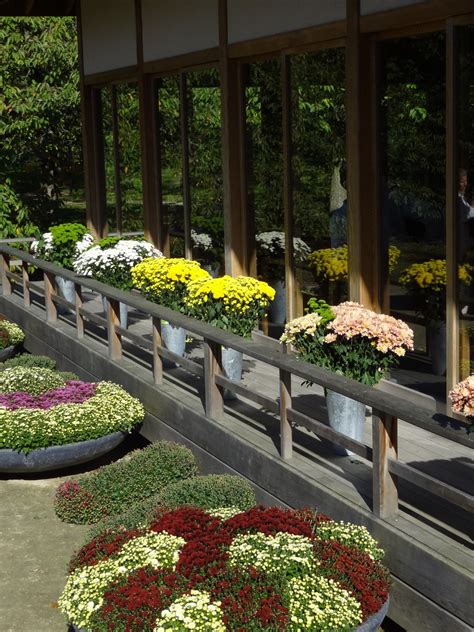 Der mithilfe von hasselts japanischer partnerstadt itami entstandene garten ist seit 1992 mit seinen 2,5 ha der. Japanischer Garten