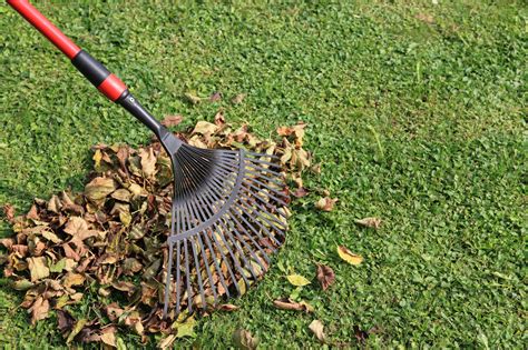 A yard clean up is sometimes all that is needed to invigorate the appearance of your backyard, and to give it a fresher look. Reviving Your Lawn After The Winter - Concord Carpenter