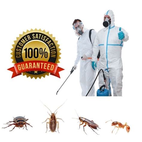 We can likewise utilize different techniques to check the flood of bugs into our we are providing sanitizing and disinfection services something completely for residential and businesses from all across the region of delhi ncr. Fogging Services In Delhi Pest Control