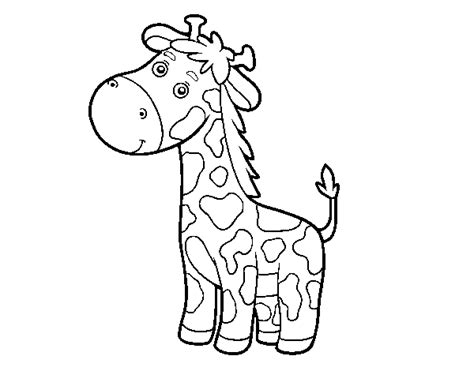 Aprender Sobre 74 Imagem Desenhos De Girafa Para Imprimir Br