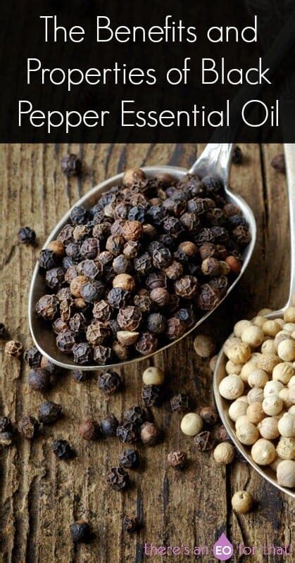 The Benefits And Properties Of Black Pepper Essential Oil There S An EO For That