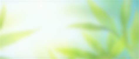 Cheap auto insurance | AbleInsurance.ca -Best auto insurance rates in