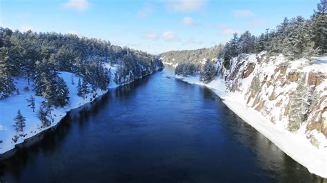French River Hwy 69 South Of Sudbury North Of Parry Sound Steer