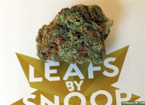 Leafs by snoop is truly the first mainstream cannabis brand in the world and proud to be a pioneer. Palm Tree CBD - Leafs by Snoop | 420 Magazine