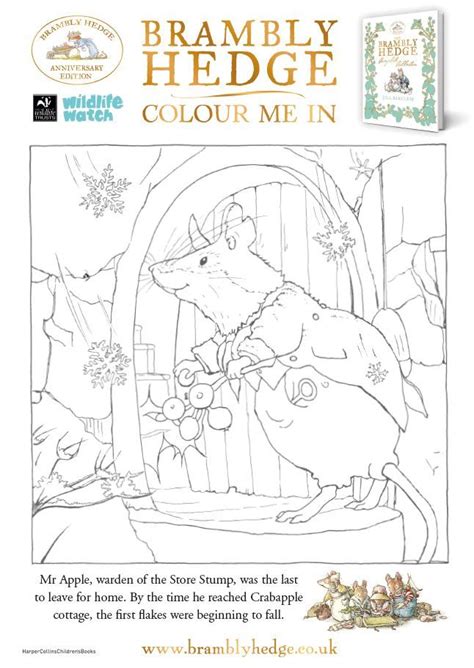 All orders are custom made and most ship worldwide within 24 hours. Pin on Brambly Hedge