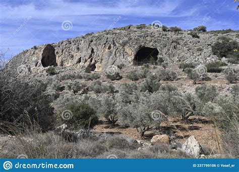 A Nature Reserve Pigeons Caves Stock Photo Image Of Caves Edge
