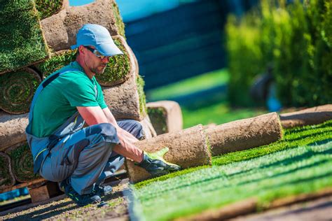 Things To Consider When Changing Your Landscaping Better Lawns And Garden