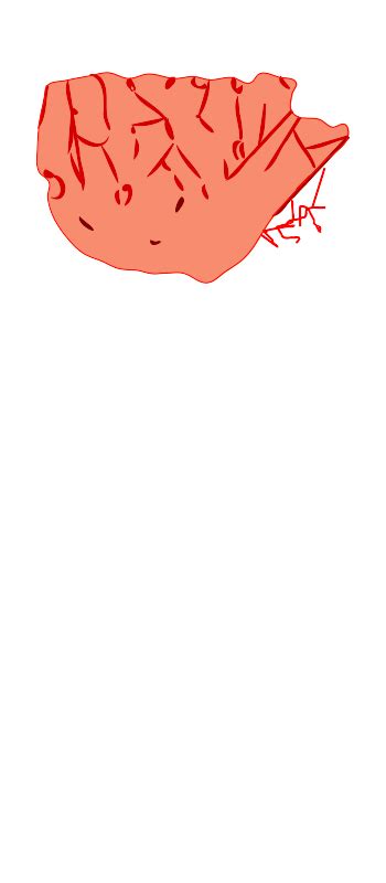 Download Poppy Clip Art - ClipArt Best