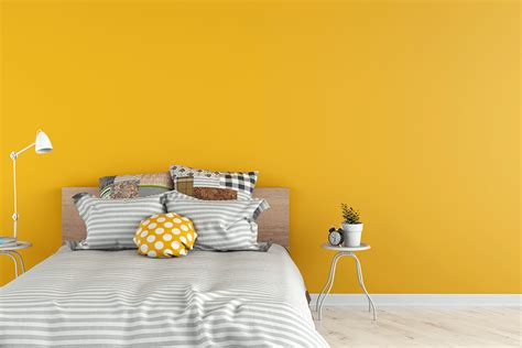 Colors That Compliment Yellow Wow 1 Day Painting
