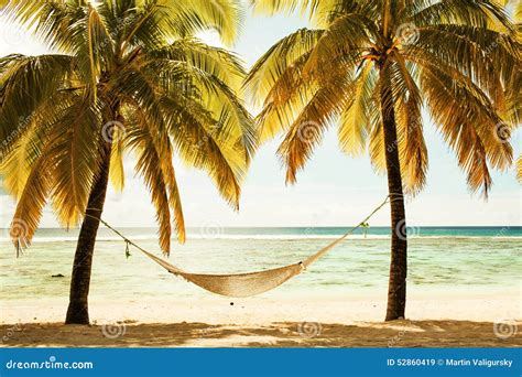 Hammock Between Two Palm Trees On The Beach During Sunset Cross