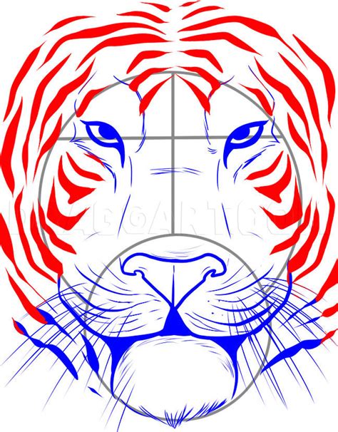 How To Draw A Tiger Face Step By Step Drawing Guide By Dawn DragoArt