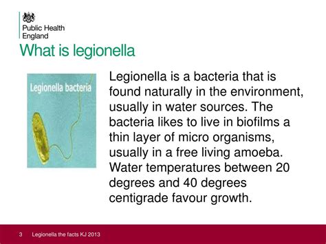 Ppt Legionella The Facts The Epidemiology Of Legionella In The W