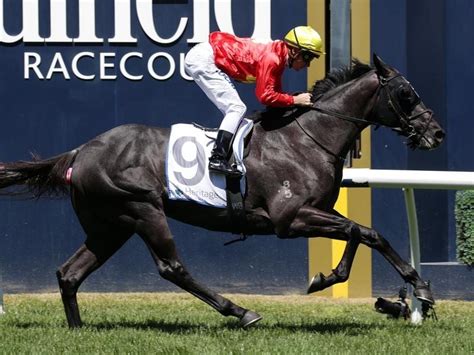 Benjamin richard ben maher mbe (born 30 january 1983 in enfield) is a british show jumper. Global Exchange wins Alister Clark Stakes | Betting Site
