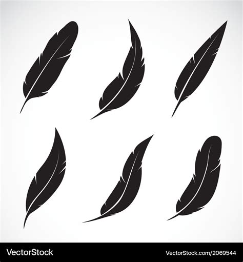 Feather Royalty Free Vector Image Vectorstock