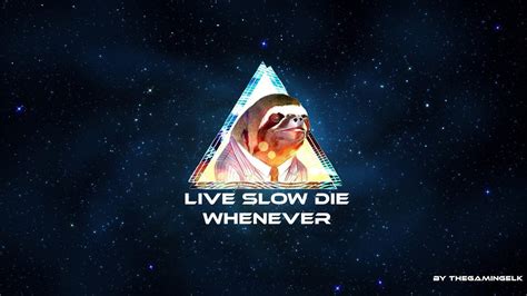 Sloth Wallpapers Wallpaper Cave