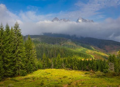 Green Mountain Valley In Dense Clouds And Mist Stock Photo Image Of