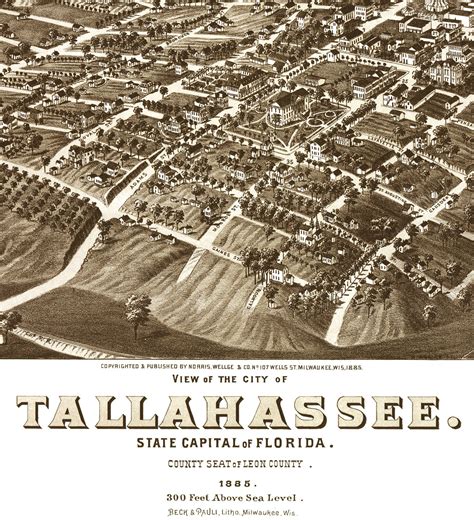 Tallahasssee Florida In 1885 Birds Eye View Map Aerial Panorama