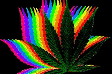 Maybe you would like to learn more about one of these? 50+ Trippy Stoner Wallpapers on WallpaperSafari