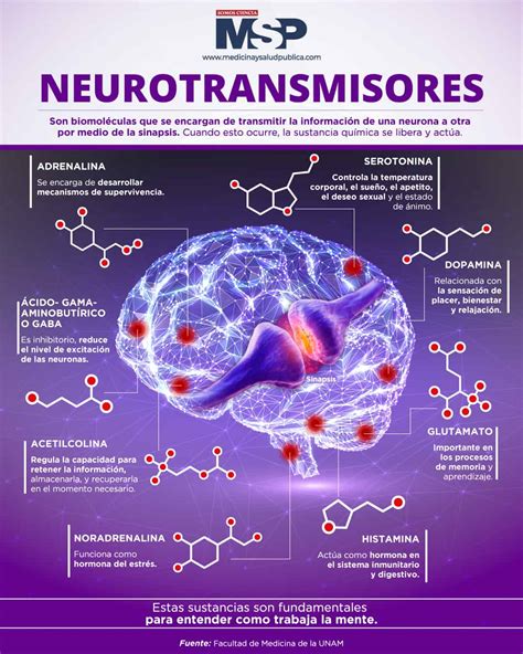 Neurotransmisores Infografía