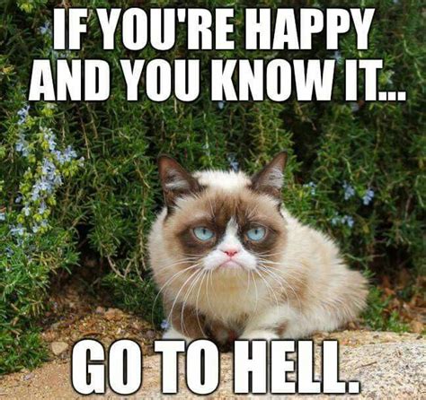 Grumpy Cat Quotes Funny Grumpy Cat Memes Cat Jokes Animal Jokes