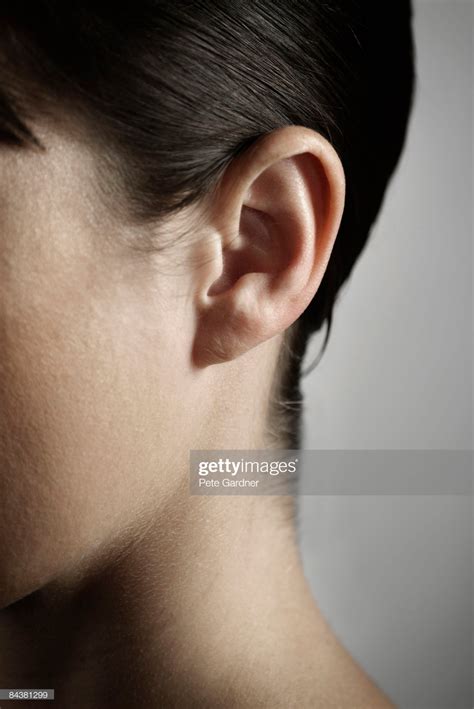 Female Left Ear Female Ear Stock Photos