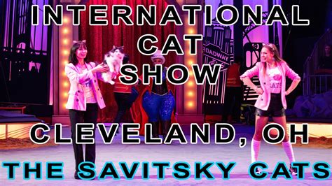 Trained Cats At The International Cat Show In Cleveland Oh Cfa Youtube