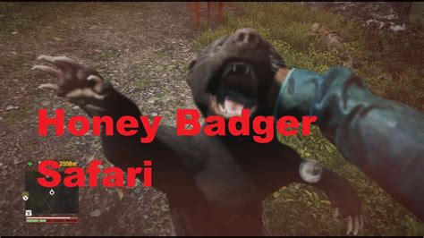 Far Cry 4 Honey Badger Safari 1440p Qhd Youtube