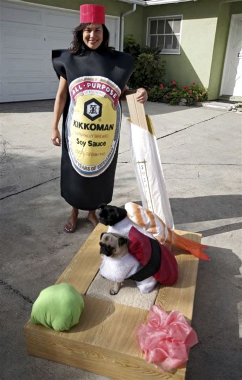 35 Awesome Homemade Matching Pet And Owner Couples Costumes With