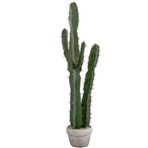 Download 89 saguaro cactus free vectors. MyGift 36-Inch Faux Saguaro Cactus in Cement Style Clay P ...