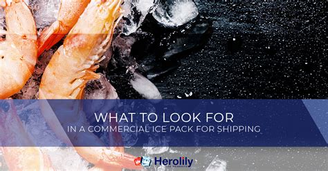 Wholesale Ice Packs For Shipping What To Look For Herolilyherolily