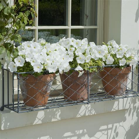 Beautiful Garden Bare Walls Add Window Boxes Garden Requisites
