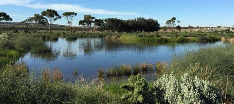 Wetland Walking In Adelaides South Good Living