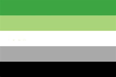 Aromantic Pride Flag Hand Sewn Aromantic Flag Custom Sizes Etsy