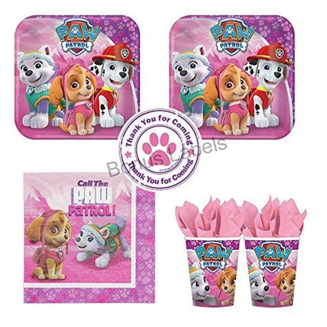 Pink Paw Patrol Girl Birthday Party Pack 16 Guests Cake Plates