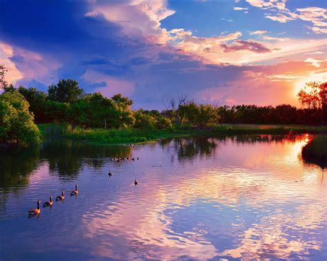 Sunset Lakes Ducks Landscape Hd Wallpaper Preview