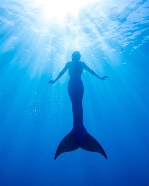 Lista 98 Foto Imagenes De Sirenas Reales Encontradas Vivas En El Mar