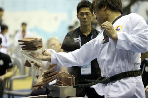 The World Taekwondo Hanmadang 세계 태권도 한마당 Trippose