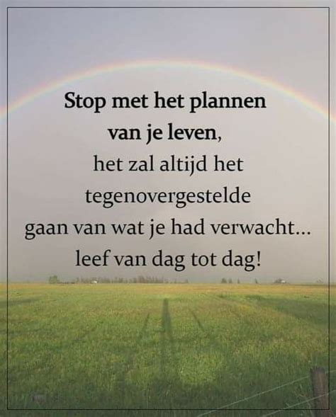 Nederlandse Motivatie Quotes En Tips Voor Een Positiever Leven Artofit