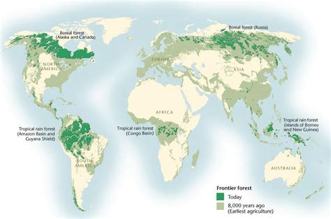 Boreal Forest Boreal Songbird Initiative